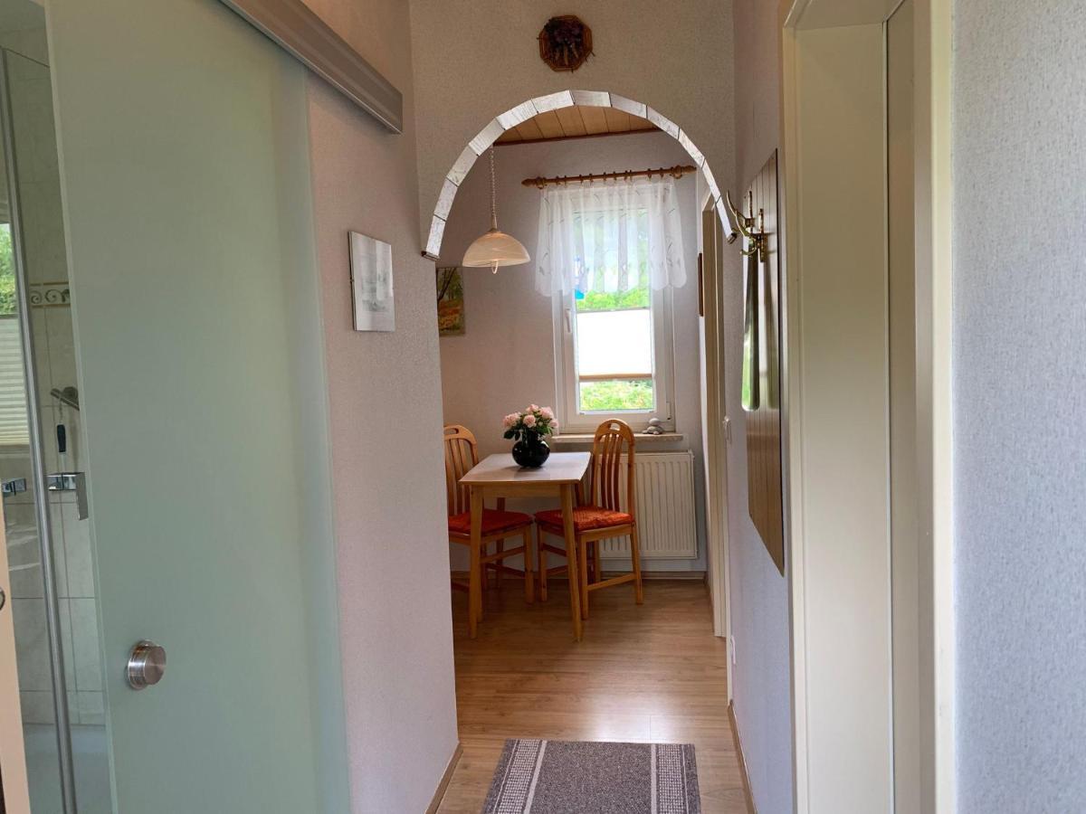 Ferienhaus Seeblick 萨斯尼茨 外观 照片